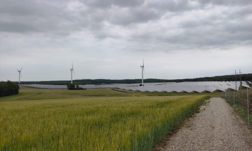 Solpark Voldby_UNISON